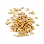 CORIANDER WHOLE BULK