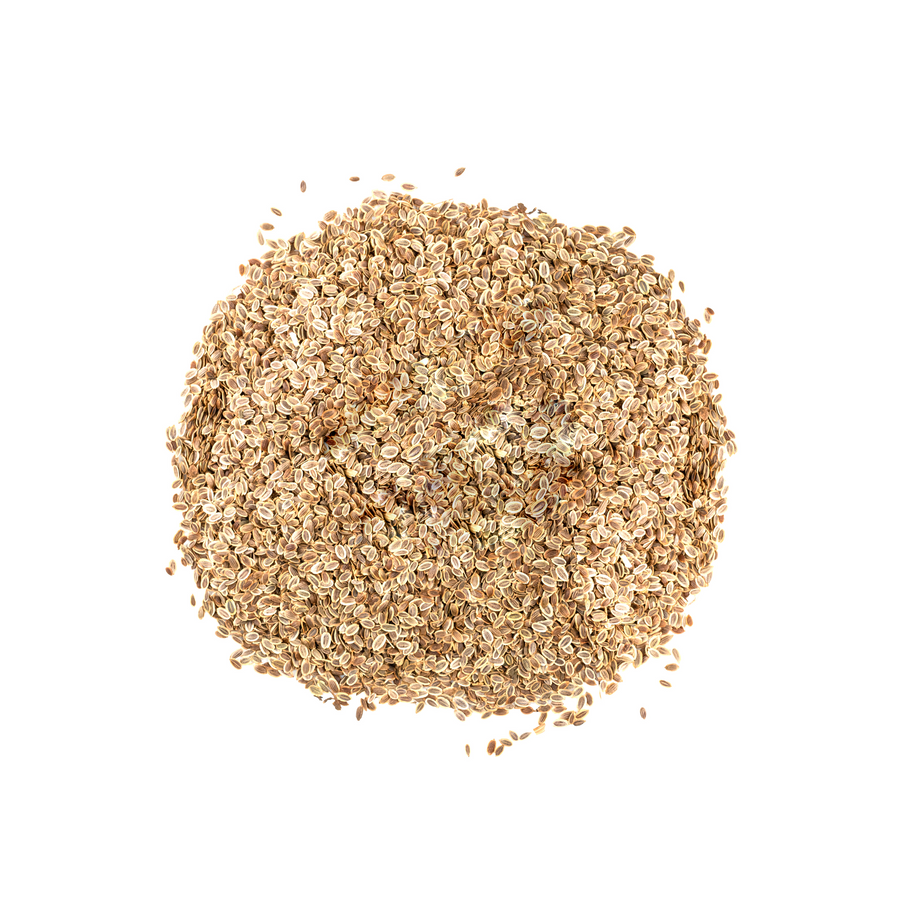 DILL SEEDS BULK