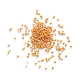 MUSTARD YELLOW SEEDS BULK